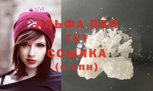 стафф Дмитров