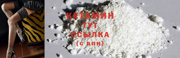 гидропоника Дмитриев