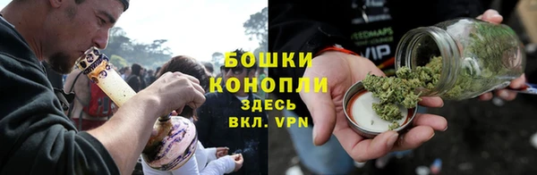 гидропоника Дмитриев