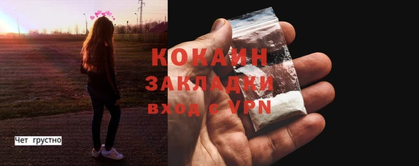 гидропоника Дмитриев