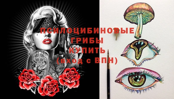 стафф Дмитров