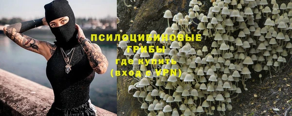 гидропоника Дмитриев