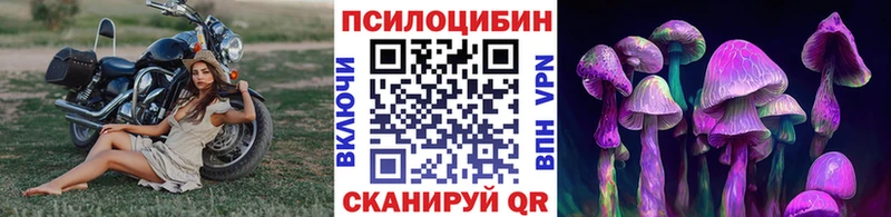 Галлюциногенные грибы GOLDEN TEACHER  Саяногорск 