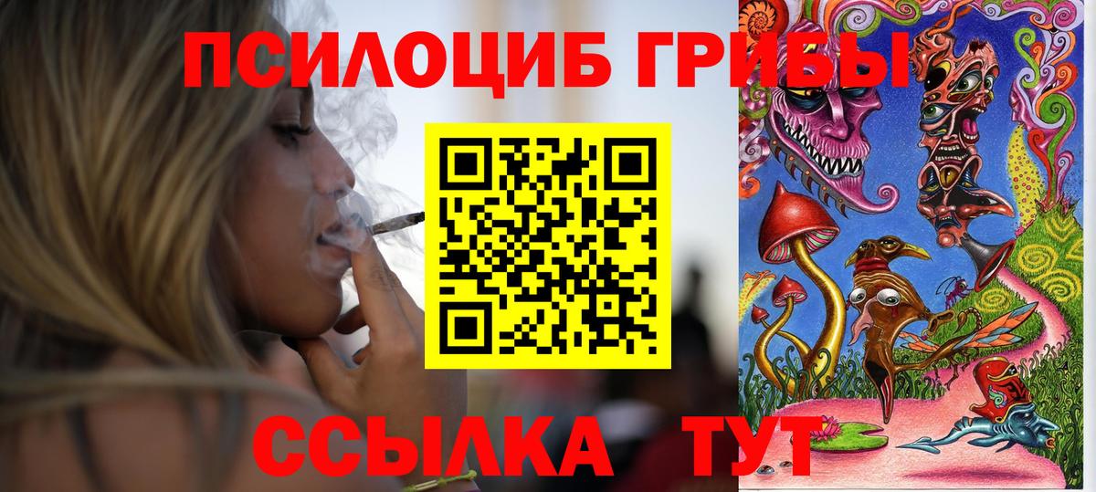 Саяногорск  Псилоцибиновые грибы прущие грибы  Вход с VPN 